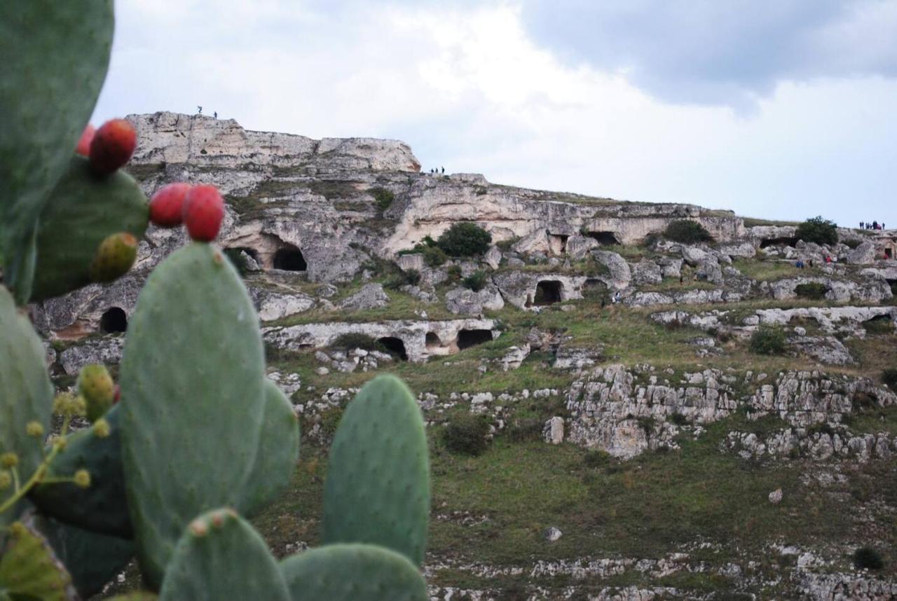 Casa Vacanze Domus Centrale Villa Matera Luaran gambar